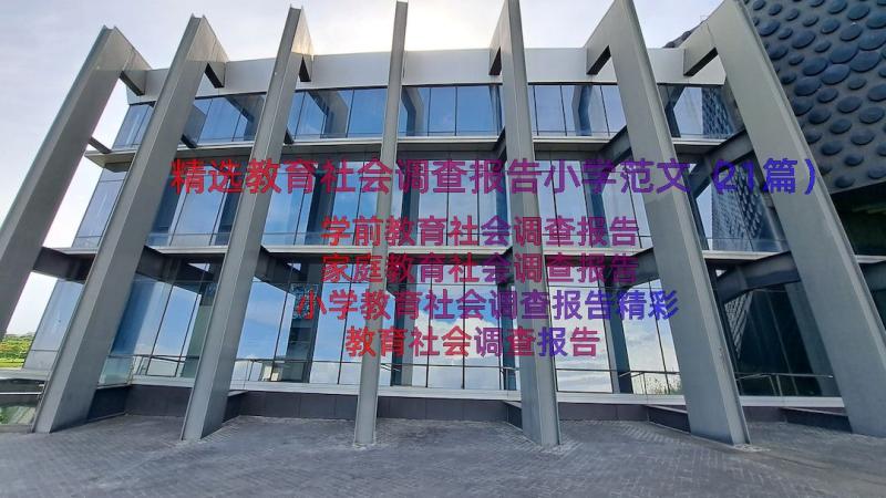 精选教育社会调查报告小学范文（21篇）