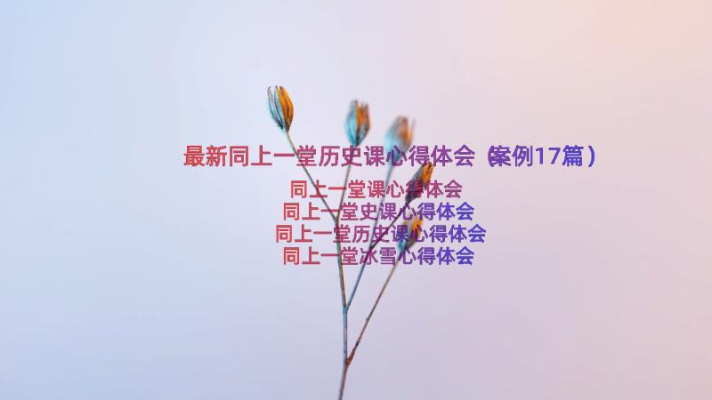 最新同上一堂历史课心得体会（案例17篇）