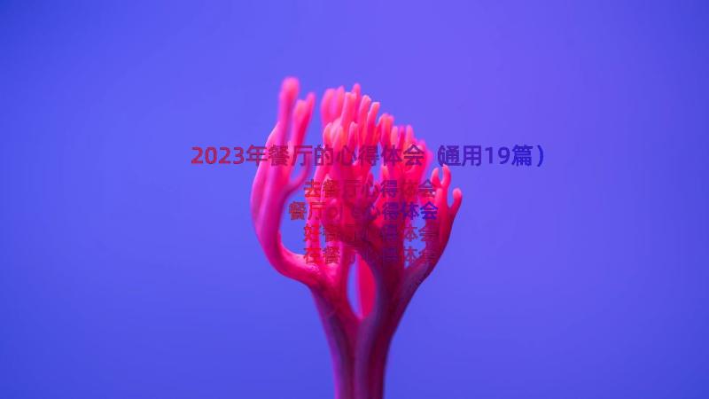 2023年餐厅的心得体会（通用19篇）