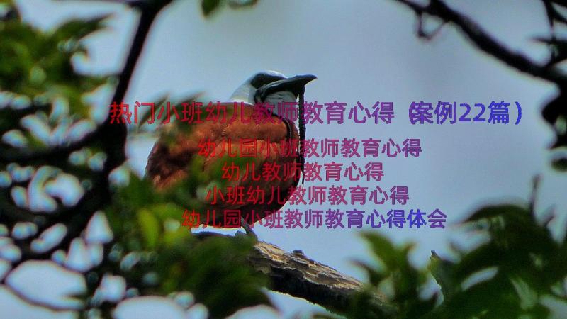 热门小班幼儿教师教育心得（案例22篇）