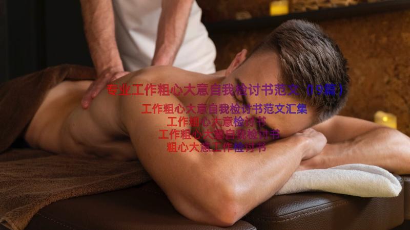 专业工作粗心大意自我检讨书范文（19篇）