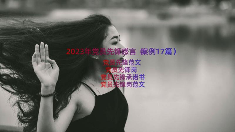 2023年党员先锋感言（案例17篇）