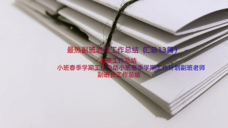 最热副班老师工作总结（汇总13篇）