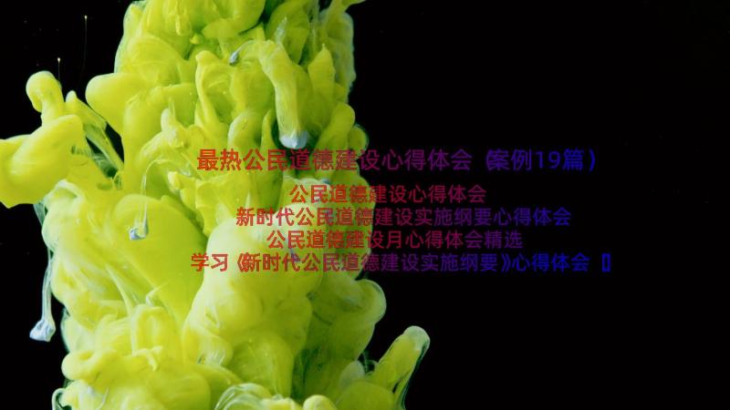 最热公民道德建设心得体会（案例19篇）