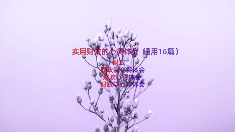 实用财政的心得体会（通用16篇）