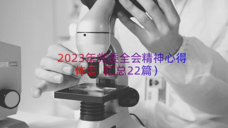 2023年党委全会精神心得体会（汇总22篇）