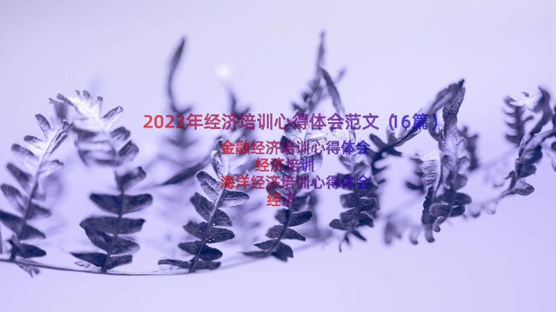 2023年经济培训心得体会范文（16篇）