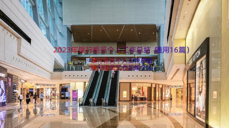 2023年银行柜员个人工作总结（通用16篇）