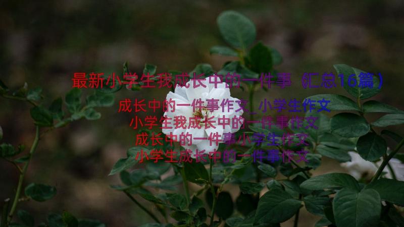 最新小学生我成长中的一件事（汇总16篇）