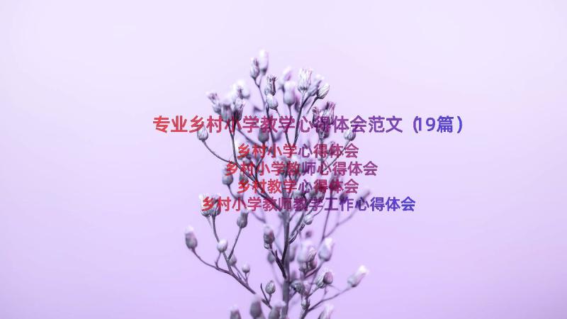 专业乡村小学教学心得体会范文（19篇）