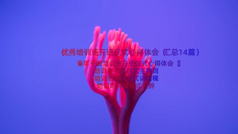 优秀培训班开班仪式心得体会（汇总14篇）