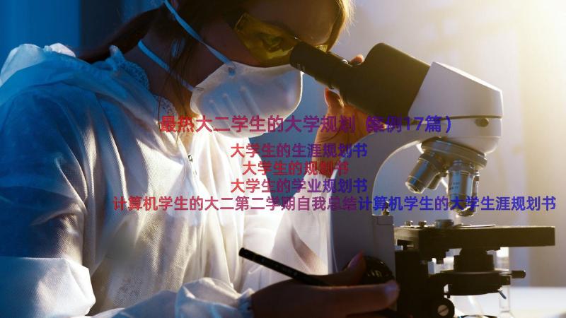 最热大二学生的大学规划（案例17篇）