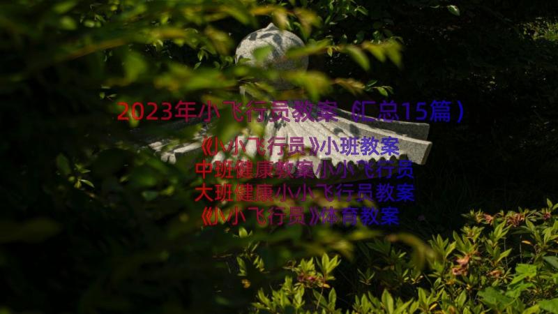 2023年小飞行员教案（汇总15篇）