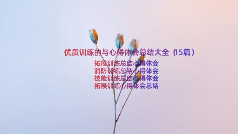 优质训练的与心得体会总结大全（15篇）