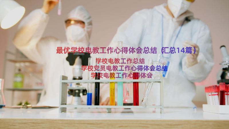 最优学校电教工作心得体会总结（汇总14篇）