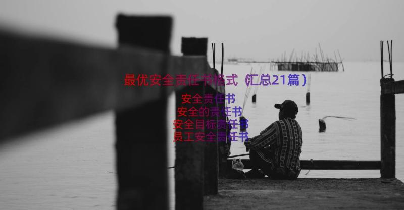 最优安全责任书格式（汇总21篇）