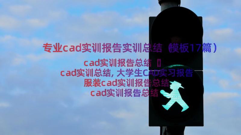 专业cad实训报告实训总结（模板17篇）