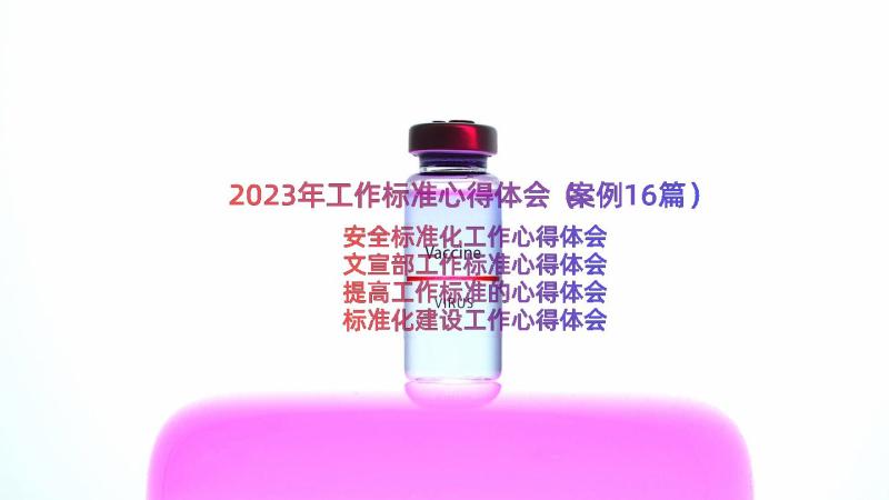 2023年工作标准心得体会（案例16篇）