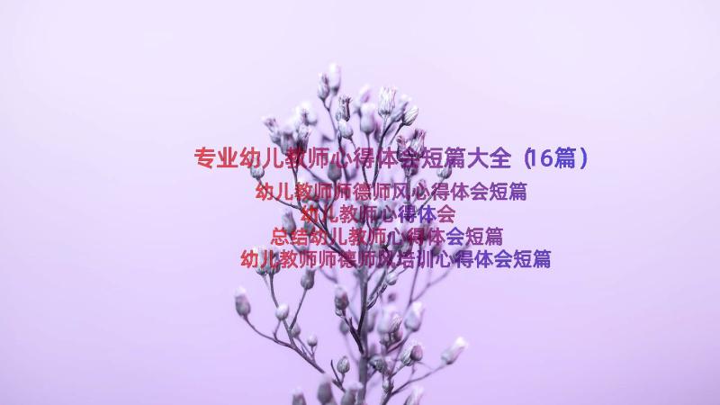 专业幼儿教师心得体会短篇大全（16篇）