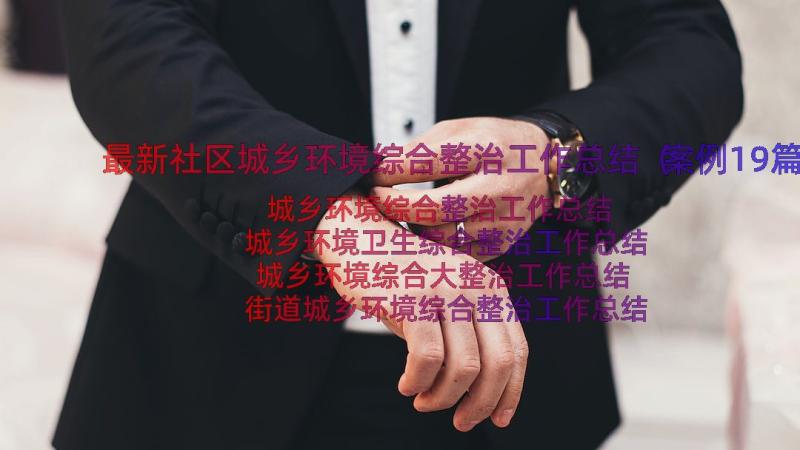 最新社区城乡环境综合整治工作总结（案例19篇）