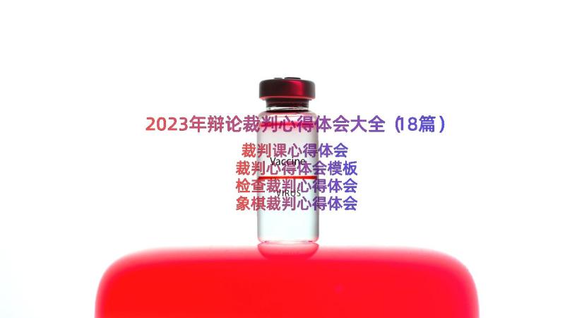 2023年辩论裁判心得体会大全（18篇）