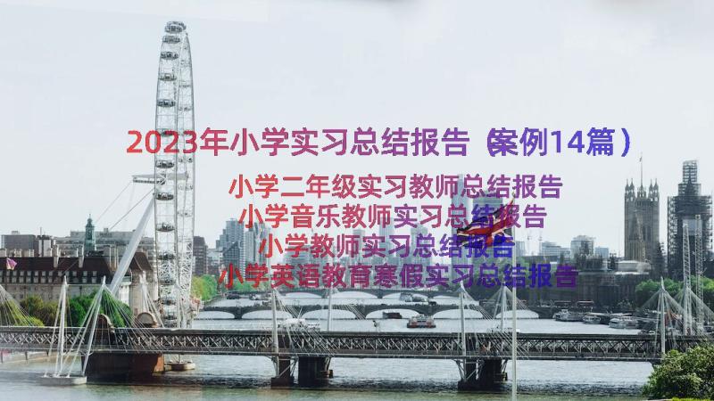 2023年小学实习总结报告（案例14篇）