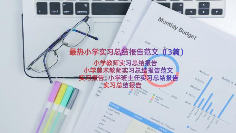 最热小学实习总结报告范文（13篇）