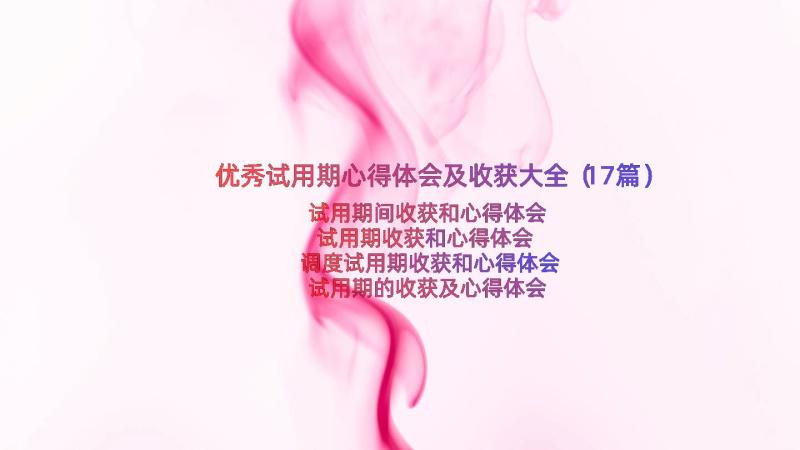 优秀试用期心得体会及收获大全（17篇）