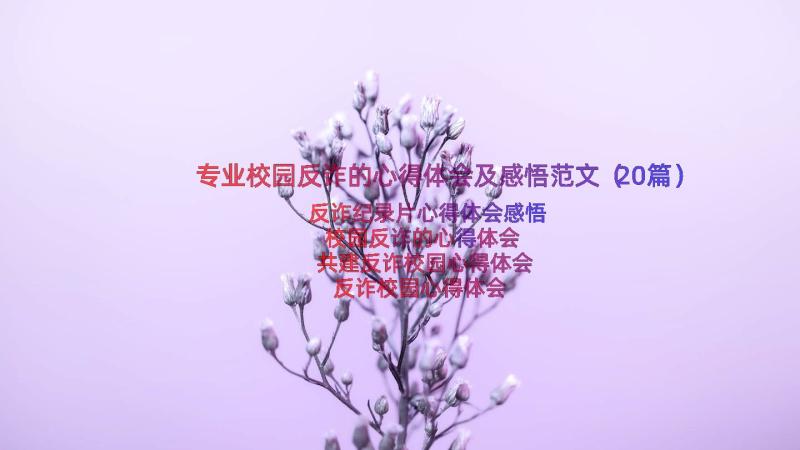 专业校园反诈的心得体会及感悟范文（20篇）