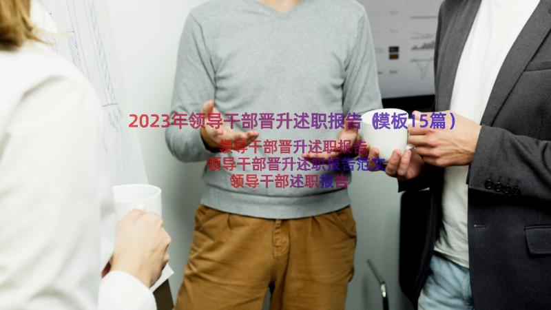 2023年领导干部晋升述职报告（模板15篇）