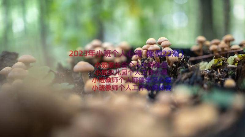 2023年小班个人心得（案例22篇）