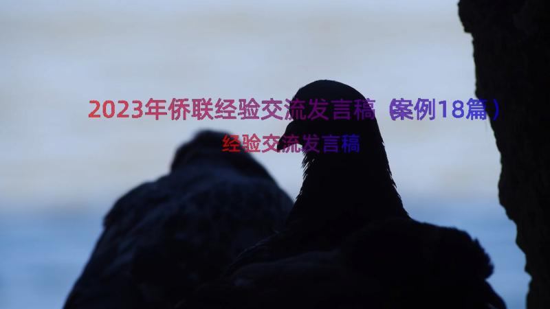 2023年侨联经验交流发言稿（案例18篇）