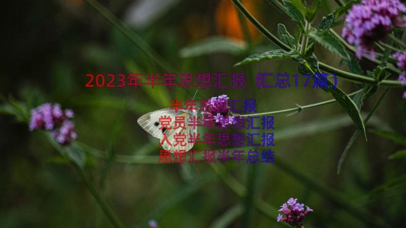 2023年半年思想汇报（汇总17篇）