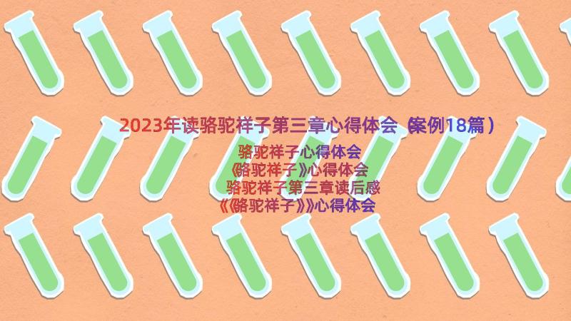 2023年读骆驼祥子第三章心得体会（案例18篇）