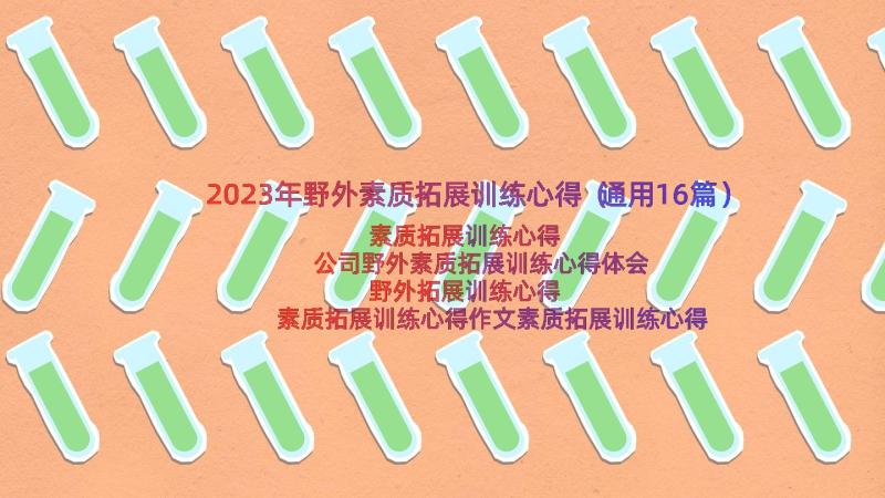 2023年野外素质拓展训练心得（通用16篇）