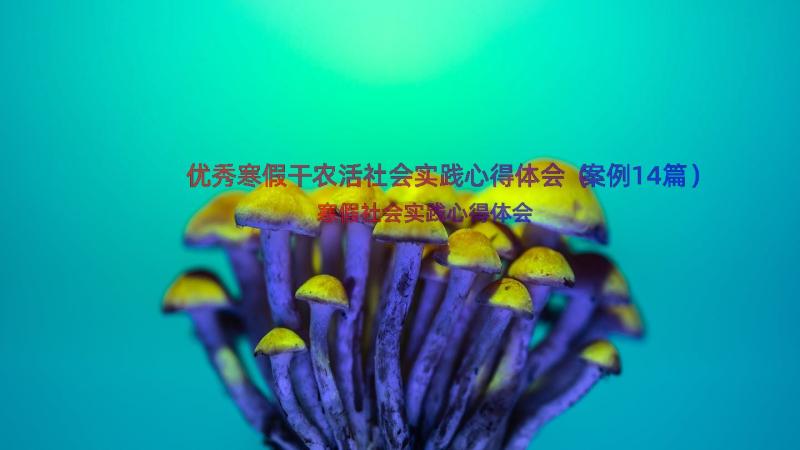 优秀寒假干农活社会实践心得体会（案例14篇）