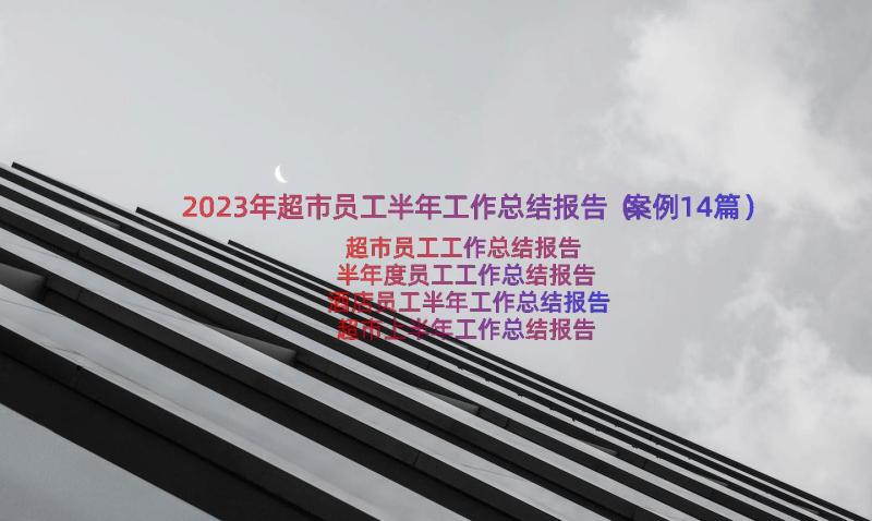 2023年超市员工半年工作总结报告（案例14篇）