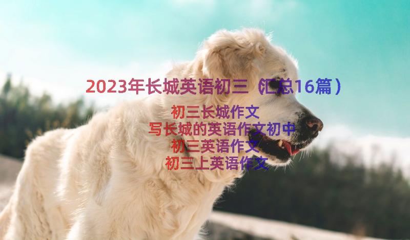 2023年长城英语初三（汇总16篇）