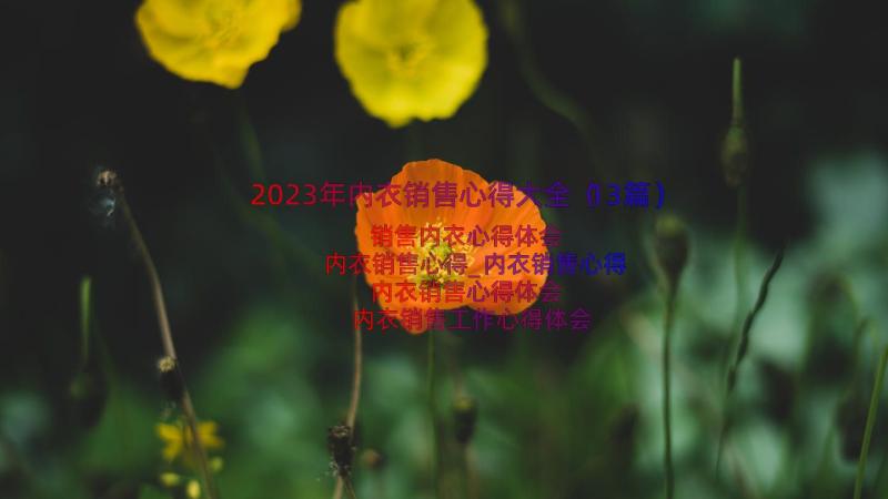 2023年内衣销售心得大全（13篇）