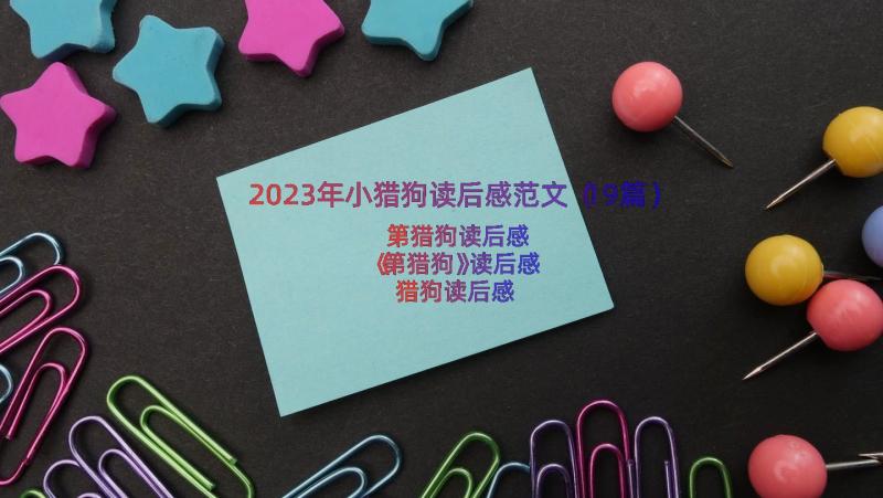 2023年小猎狗读后感范文（19篇）