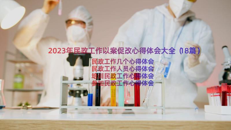 2023年民政工作以案促改心得体会大全（18篇）