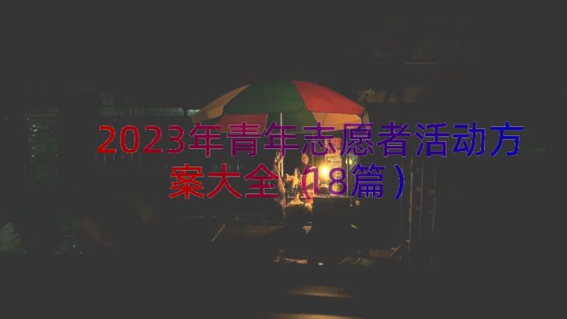 2023年青年志愿者活动方案大全（18篇）