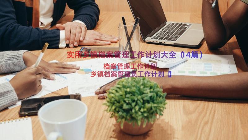 实用乡镇档案管理工作计划大全（14篇）