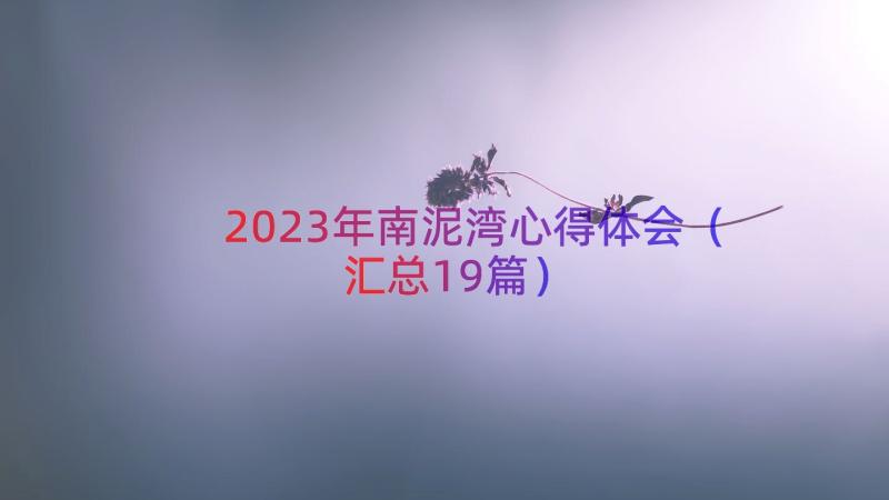 2023年南泥湾心得体会（汇总19篇）