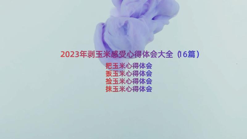 2023年剥玉米感受心得体会大全（16篇）