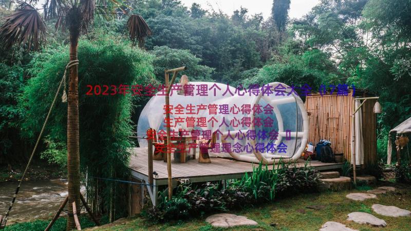 2023年安全生产管理个人心得体会大全（17篇）