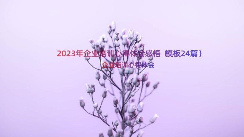 2023年企业培训心得体会感悟（模板24篇）