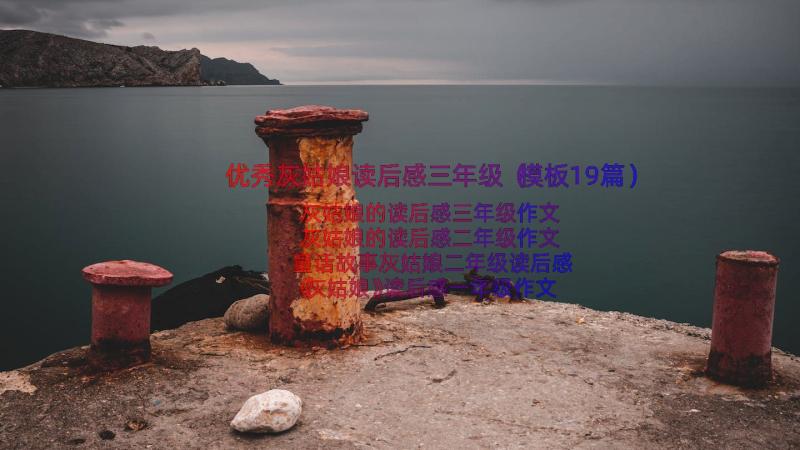 优秀灰姑娘读后感三年级（模板19篇）