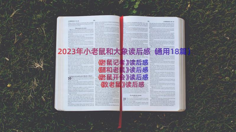 2023年小老鼠和大象读后感（通用18篇）