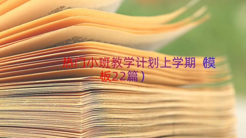 热门小班教学计划上学期（模板22篇）